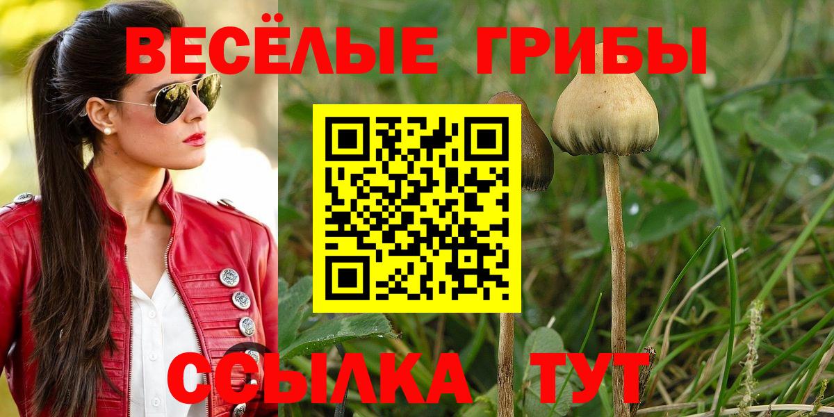 Чехов  Псилоцибиновые грибы Psilocybe  Галлюциногенные грибы Magic Shrooms  Вход с VPN 