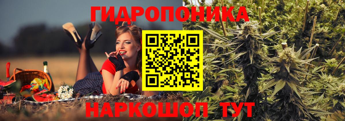 Каннабис ГИДРОПОН  Конопля VHQ  Чехов  Марихуана OG Kush  Вход с VPN 
