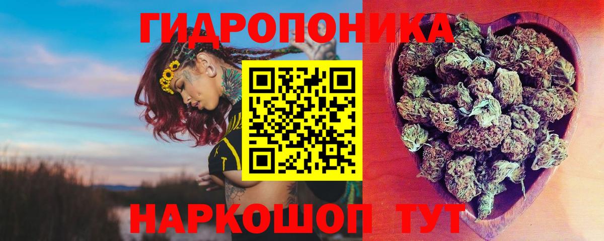 Шишки марихуана семена Чехов